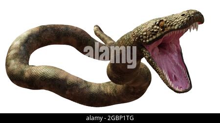 Titanoboa, die längste Schlange, die je gelebt hat, isoliert auf weißem Hintergrund (3d-Illustration) Stockfoto