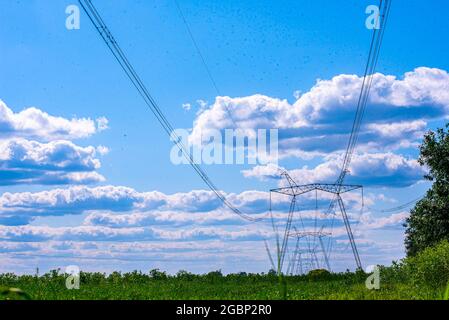 Strilky, Ukraine. Mai 2018. Ein Blick auf Stromleitungen, Stromübertragungen auf einem Feld in der Westukraine. (Bild: © Mykola Tys/SOPA Images via ZUMA Press Wire) Stockfoto