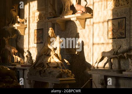 Goldenes Nachmittagslicht strömt durch die Fenster und leuchtet an einer Wand aus Kunst und Marmorskulpturen in den Vatikanischen Museen. In Rom, Italien. Stockfoto