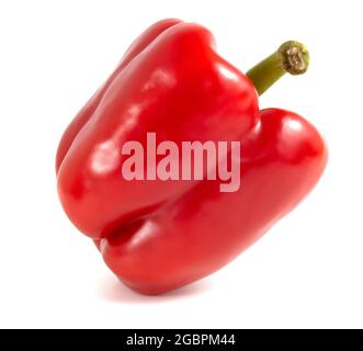 Reife rote Paprika, Paprika isoliert auf weißem Hintergrund. Stockfoto