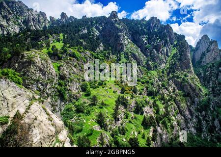 Fontalba Way. Berge auf dem Weg von Queralbs nach Núria Sanctuary im Sommer Ripollès, Girona Katalonien Spanien, Pyrenäen Stockfoto