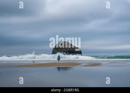 Eine Einzelfigur und ein Border Terrier Hund am Strand von Trebarwith Strand mit türkisfarbener Brandung und einer Kulisse von Gull Island. Stockfoto