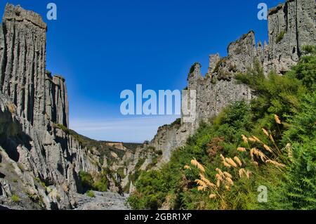 Graue, erodierte Felsen mit grüner Vegetation und großen Gräsern. Putangirua Pinnacles, in der Nähe von Cape Palliser, Nordinsel, Neuseeland. Stockfoto