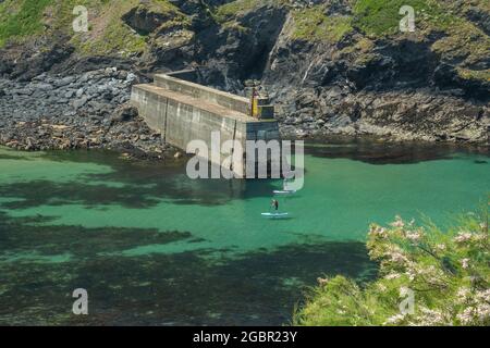 Paddelboarder betreten den Hafen von Port Isaac in North Cornwall mit türkisfarbenem Meer unter ihnen. Stockfoto