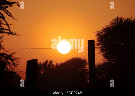 Orangefarbener Himmel und runde volle Sonne und Sonnenuntergang Foto hinter dem Feld in ländlicher Umgebung, indien Stockfoto