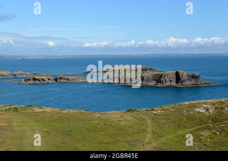 Carreg yr Esgob bei Porth Clais vom Pembrokeshire Coast Path bei Porth Clais Pembrokeshire Wales Großbritannien Stockfoto