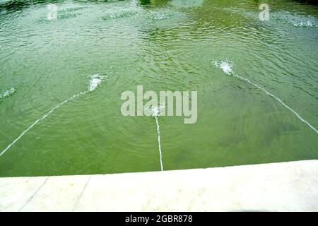 Wasserfontansee in Pinjore Garden in chandigarh, indien Stockfoto