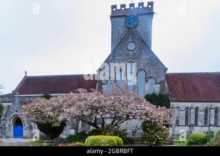 England, Hampshire, New Forest, Ringwood, Pfarrkirche St. Peter und St. Paul Stockfoto