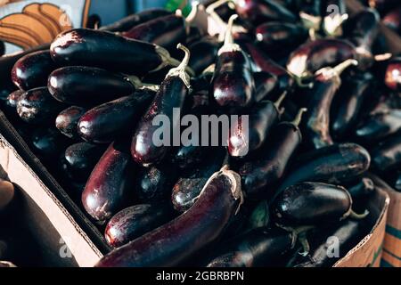 Frisches Bio gesundes Auberginen Gemüse in Kunststoffboxen Armers Markt. Lokale Produkte. Stockfoto