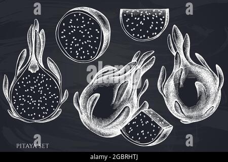 Vektor-Set von handgezeichneten Kreide pitaya Stock Vektor