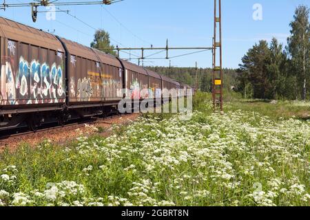 NORTH COUNTY, SCHWEDEN AM 17. JUNI. Ansicht eines Wagens auf einem Bahnübergang am 17. Juni 2021 in Schweden. Graffiti-Malerei. Redaktionell. Stockfoto