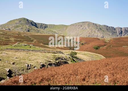 Dow Crag aus der Nähe von Torver High Common Coniston, Lake District Cumbria England Stockfoto