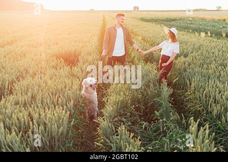 Schönes junges, trächtiges Paar geht mit ihrem weißen labrador auf Feldern. Schwanger Frau . Familie und Schwangerschaft. Liebe und Zärtlichkeit. Glück und s Stockfoto