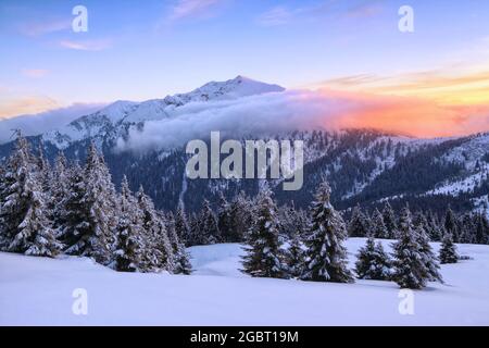 Ein Panoramablick. Winter. Unglaublicher Sonnenaufgang. Landschaft von hohen Bergen mit schneeweißen Gipfeln und Wäldern. Luftaufnahme. Hintergrund des Hintergrundbilds. Natürliche s Stockfoto