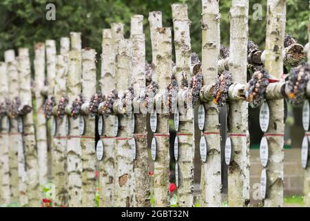 Gräber von Kämpfern des Warschauer Aufstands auf dem Militärfriedhof Powazki (Cmentarz Wojskowy na Powazkach) in Warschau, Polen. 17. Mai 2021 © Wojciech Strozyk / Stockfoto