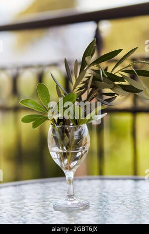 Surrealistische Blumen - kreatives Weinglas von Grün : Olivenbaum Zweig und dekorative grüne Blätter. Der Olivenzweig ist ein Symbol des Friedens oder victo Stockfoto