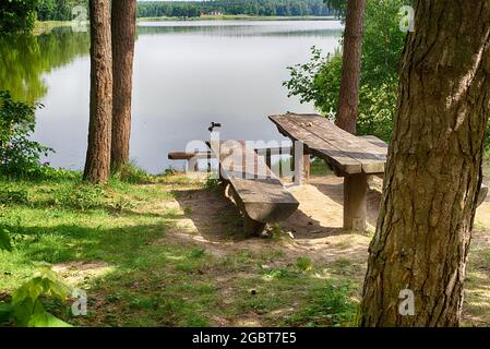 Rustikaler Holztisch und Bänke unter schattigen Bäumen am Ufer eines ruhigen Flusses oder Sees mit Wasservögeln, die an der Gegend schwimmen und die Umgebung reflektieren Stockfoto