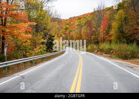 Verlassene Bergstraße durch einen bunten Wald auf dem Höhepunkt der Herbstfärbung an einem bewölkten Herbsttag Stockfoto