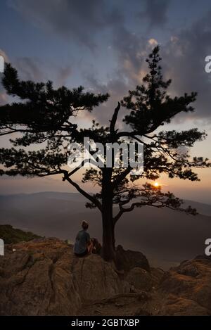 Eine Frau sitzt unter einem Kiefernbaum und genießt einen farbenfrohen Sonnenuntergang im Sommer, während sie in den blauen Bergketten von virginia wandern Stockfoto