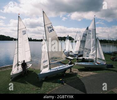 Lerchen im Barnt Green Sailing Club Stockfoto