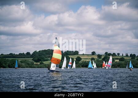 Lerchen im Barnt Green Sailing Club Stockfoto