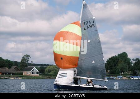 Lerchen im Barnt Green Sailing Club Stockfoto