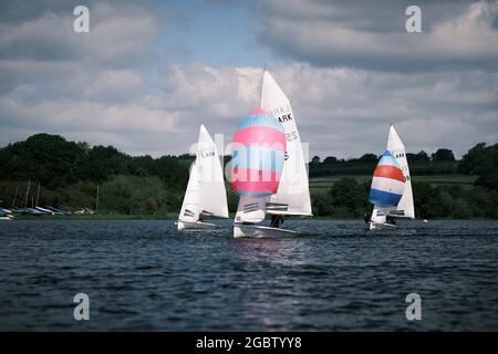 Lerchen im Barnt Green Sailing Club Stockfoto