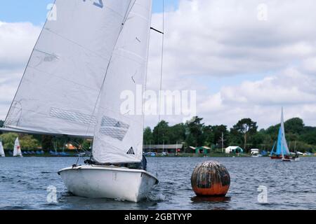 Lerchen im Barnt Green Sailing Club Stockfoto