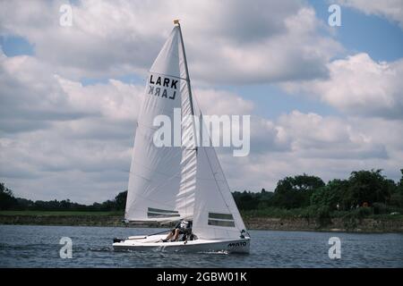 Lerchen im Barnt Green Sailing Club Stockfoto