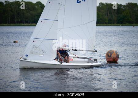 Lerchen im Barnt Green Sailing Club Stockfoto