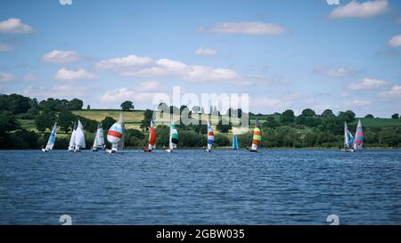 Lerchen im Barnt Green Sailing Club Stockfoto