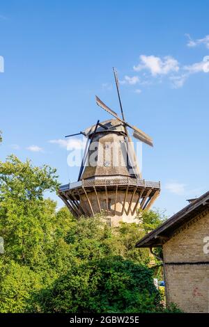 Wunderschöne Windmühle im Sanssouci Park, Potsdam, Deutschland Stockfoto