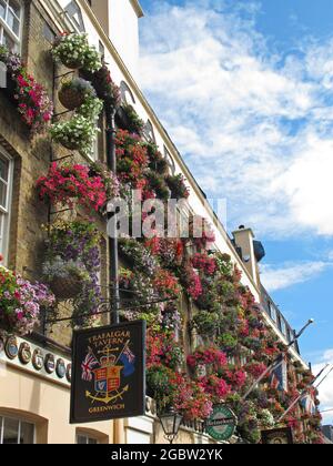 Mehrere Blumenkörbe hängen an der Wand des Trafalgar Pub in Greenwich, dem historischen Flussviertel östlich von London, Großbritannien. Stockfoto