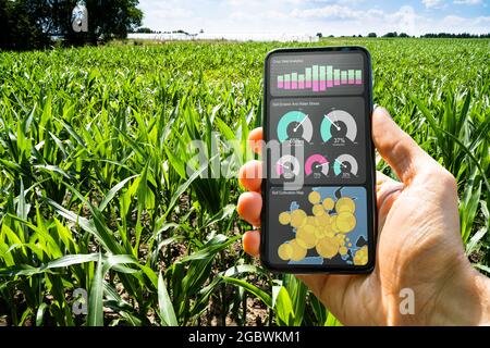 Corn Farm Smart Agriculture Technology And Farming System Stockfoto