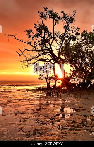 Vertikale Aufnahme des Sonnenuntergangs von einem Ufer Stockfoto