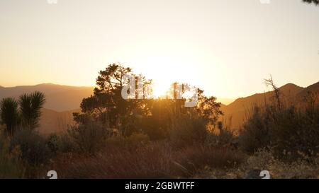 Sonnenuntergang mit dramatischen Wolken über Mount Whitney auf dem Pacific Crest Trail von Crabtree Meadows entlang der PCT California Sektion G von Walker Pa Stockfoto