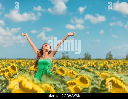 Glückliche, freie asiatische Frau, die mit den Armen der Haphaftigkeit im Sonnenblumenfeld tanzt und den Frühling in der Sonne entspannt feiert. Mädchen genießen die Natur suchen nach oben Stockfoto