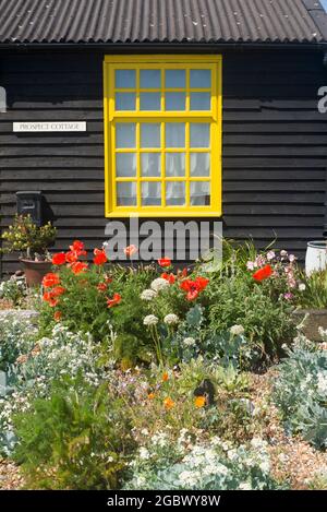 Prospect Cottage und Garden Dungeness Kent Stockfoto