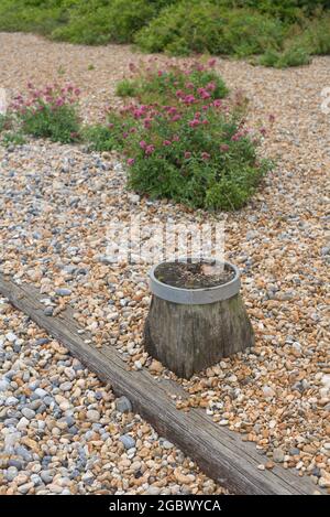 Prospect Cottage und Garden Dungeness Kent Stockfoto