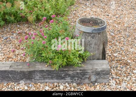 Prospect Cottage und Garden Dungeness Kent Stockfoto