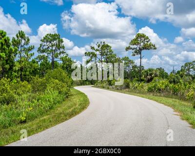 Webb Lake Road in Babcock Webb Wildlife Management Area in Punta Gorda Florida USA Stockfoto