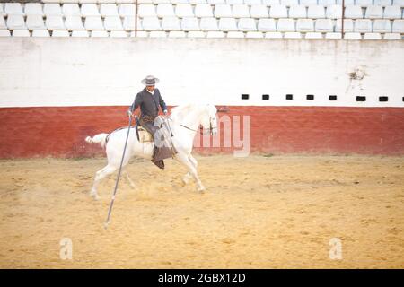 Garrocha Reiten in Spanien in der Nähe von Sevilla auf einem Bauernhof Stockfoto