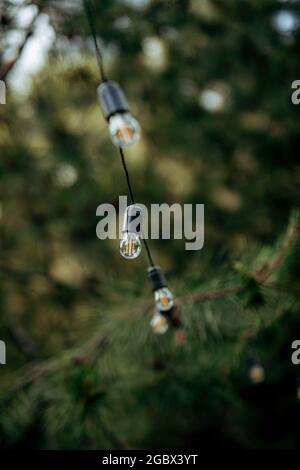 Wunderschöne gelbe Glühbirnen auf der Straße Stockfoto