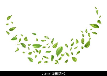 Natur, Teeplantage, grüner Tee Garten Hintergrund.Frische dekorative Design-Elemente. Stock Vektor