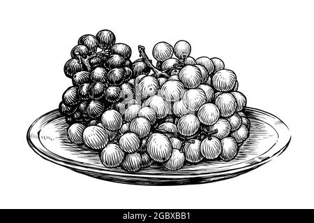 Trauben auf einem Teller. Handgezeichnete Früchte im Vintage-Stil. Skizzendarstellung Stock Vektor