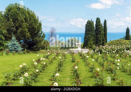 Im Park des Livadia Palace. Krim. Jalta Stockfoto