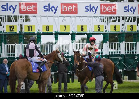 Die Mitarbeiter der Rennbahn helfen den Jockeys Jack Quinlan und Sam Twiston-Davies mit ihren Pferden an den Startplätzen der York Races. Stockfoto