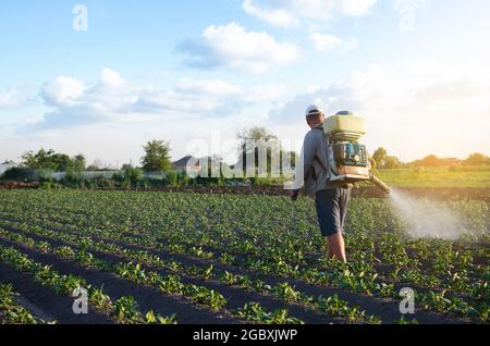 Ein Landwirt mit einem Nebelsprüher sprüht Fungizid und Pestizid auf Kartoffelbüsche. Effektiver Pflanzenschutz, Auswirkungen auf die Umwelt. Schutz von Stockfoto