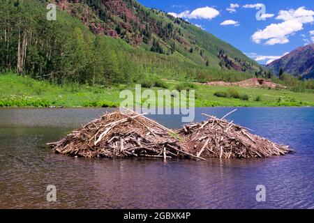 1990ER BEAVER LODGES IN LAKE ASPEN COLORADO USA - KZ5152 LGA001 HARS UNTERWASSER CO SCHUTZ NORDAMERIKA NORDAMERIKANISCHES RESORT FELSIGE STRUKTUR HOHER WINKEL KRIECHSCHUTZ ASPEN AUSSENHÄUSER ZOOLOGIE SCHWIMMEN KRIECHTIERE WILDNIS KONZEPTIONELLE RESIDENZ BEAVER LODGES SKI RESORT KREATIVITÄT CREATURE SÄUGETIER FELSIGE BERGE AMPHIBIEN AMPHIBIEN COLORADO PRAIRIEN ALTMODISCH Stockfoto
