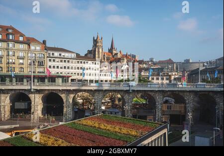 Blick auf Le Flon und die Skyline von Lausanne mit Kathedrale - Lausanne, Schweiz Stockfoto